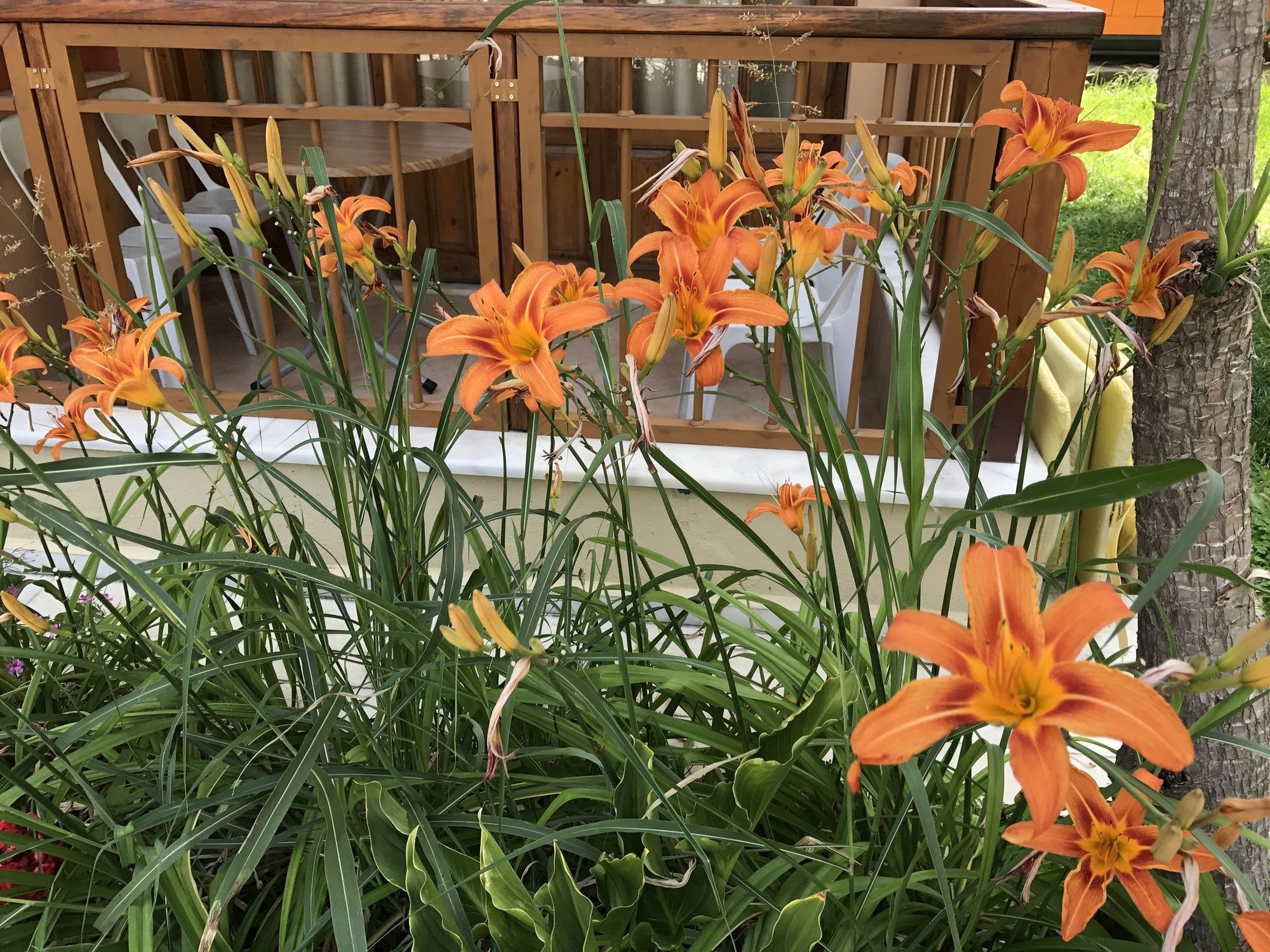 纳尔公寓式酒店 锡德 外观 照片
